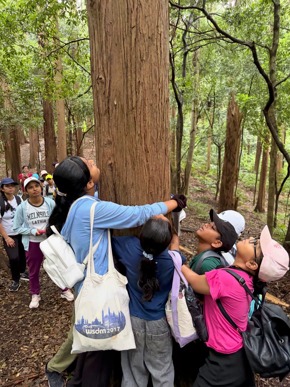 Children and adults examine a tall tree together during the REarth Nature Walk 2026